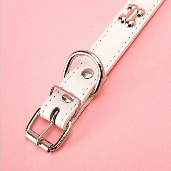 NWT PET COLLAR WHITE WITH SILVER BONES - Picture 3 of 4